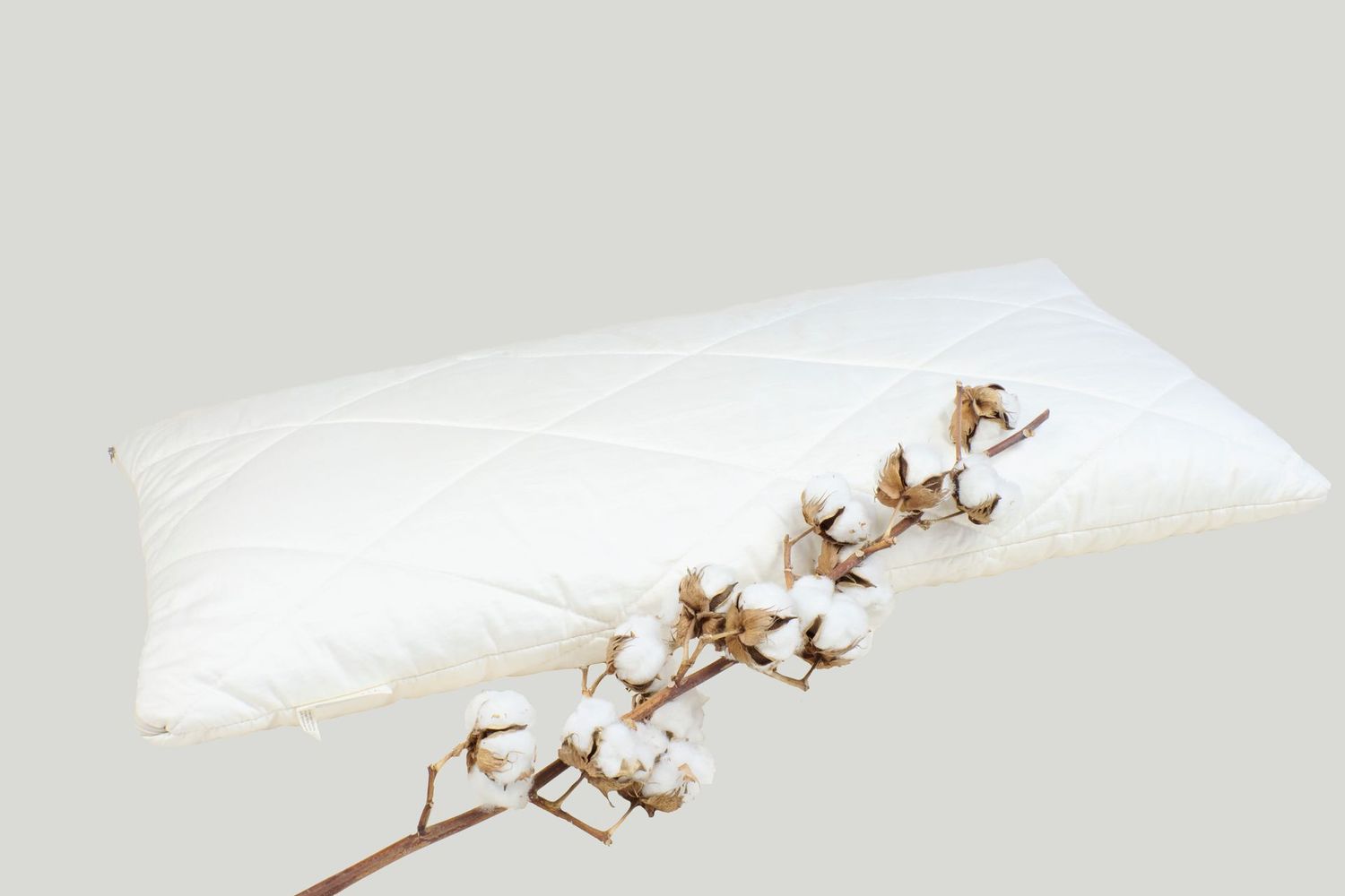 Baumwollkissen